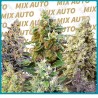 Sweet mix autoflorecientes de Sweet seeds