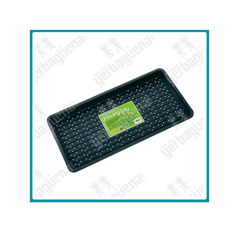 Bandeja microgreen double depth (56x28x6 cm.) con agujeros de garland Bandeja microgreen double depth (56x28x6 cm.) con agujeros de garland