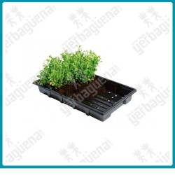 Bandeja profesional (37 x 23.5 x 5 cm.) de Garland