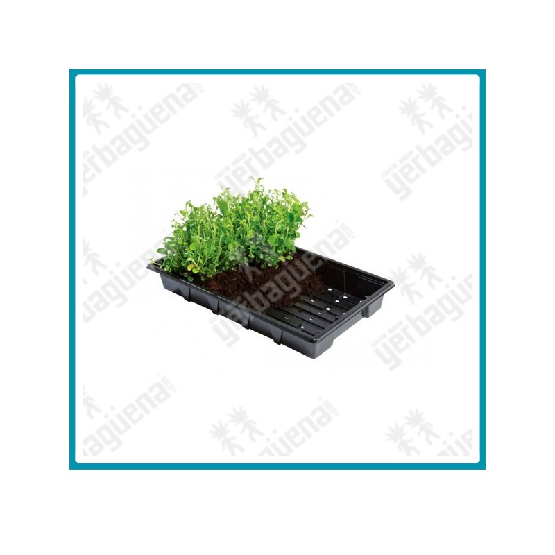 Bandeja profesional (37 x 23.5 x 5 cm.) de Garland Bandeja profesional (37 x 23.5 x 5 cm.) de Garland