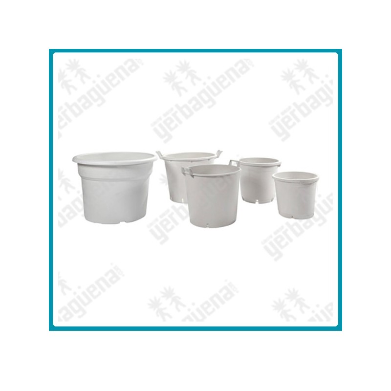 Maceta redonda blanca Maceta redonda blanca