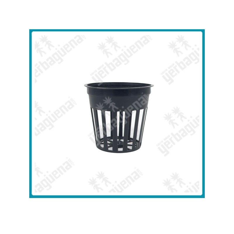 Maceta rejilla de 5,5 cm. Maceta rejilla de 5,5 cm.