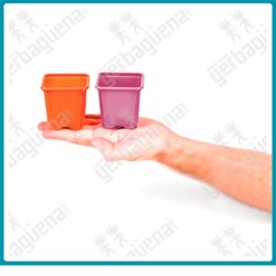 Maceta cuadrada colores