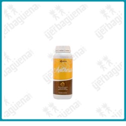Anthesis - 500 ml -
