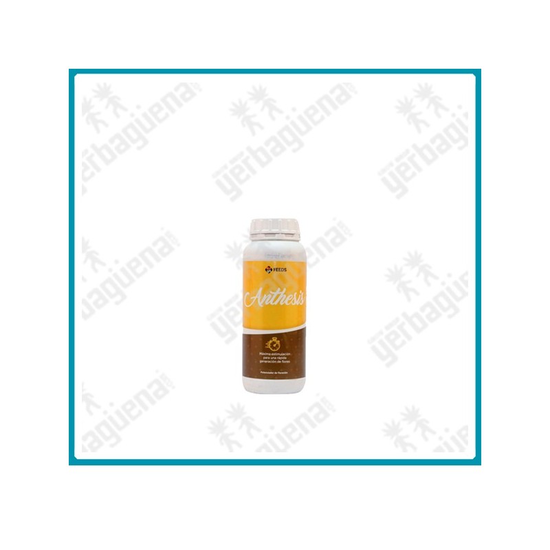 Anthesis - 500 ml -
