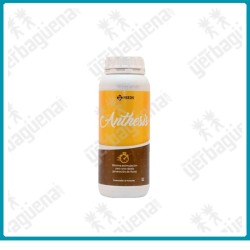 Anthesis - 1 L. -