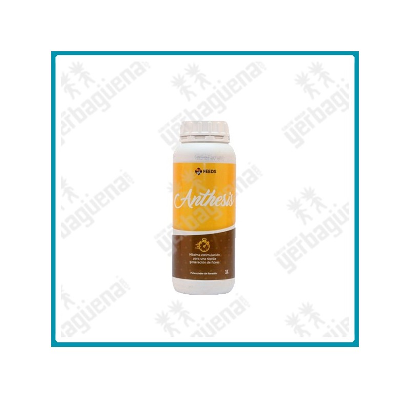 Anthesis - 1 L. -