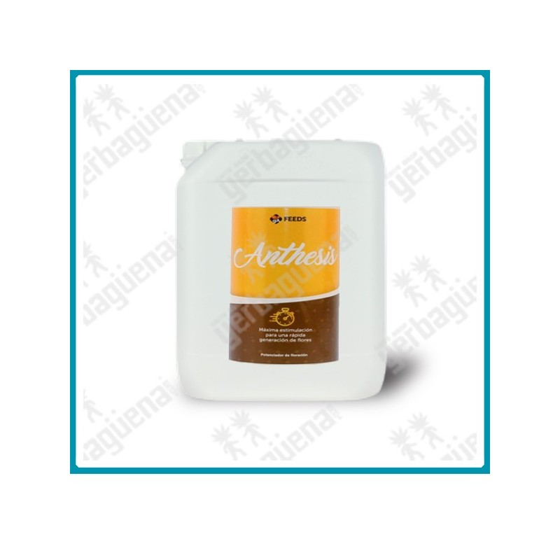 Anthesis - 5 L. -