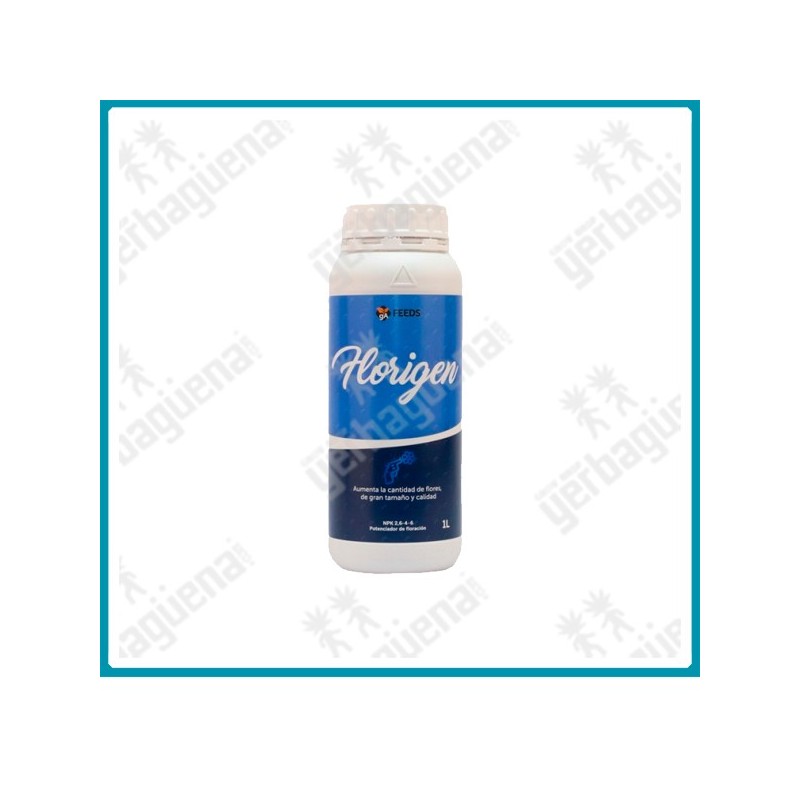 Florigen - 1L. -