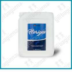 Florigen - 5L. -