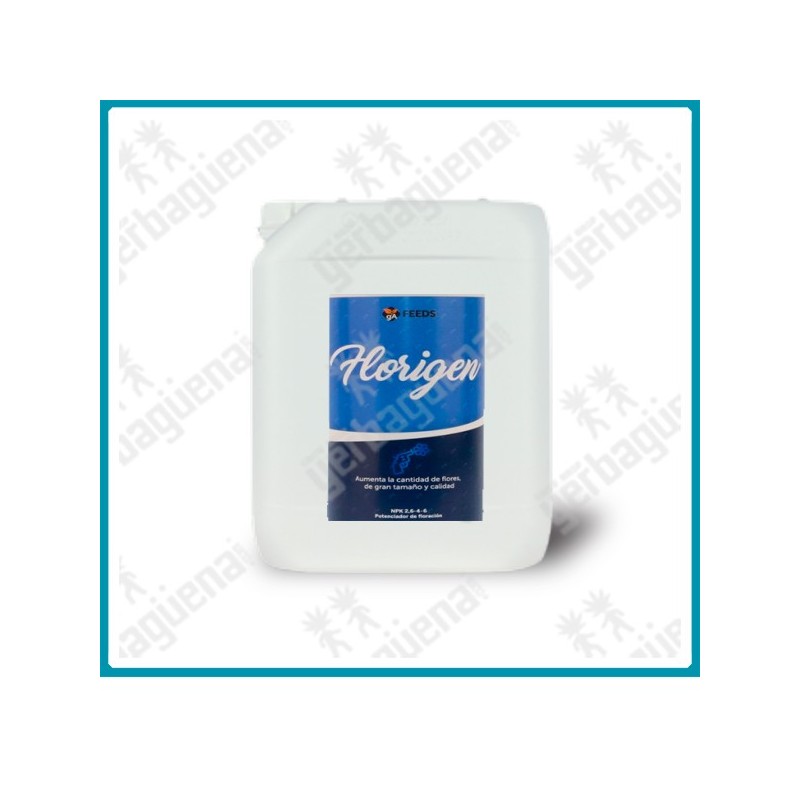 Florigen - 5L. -