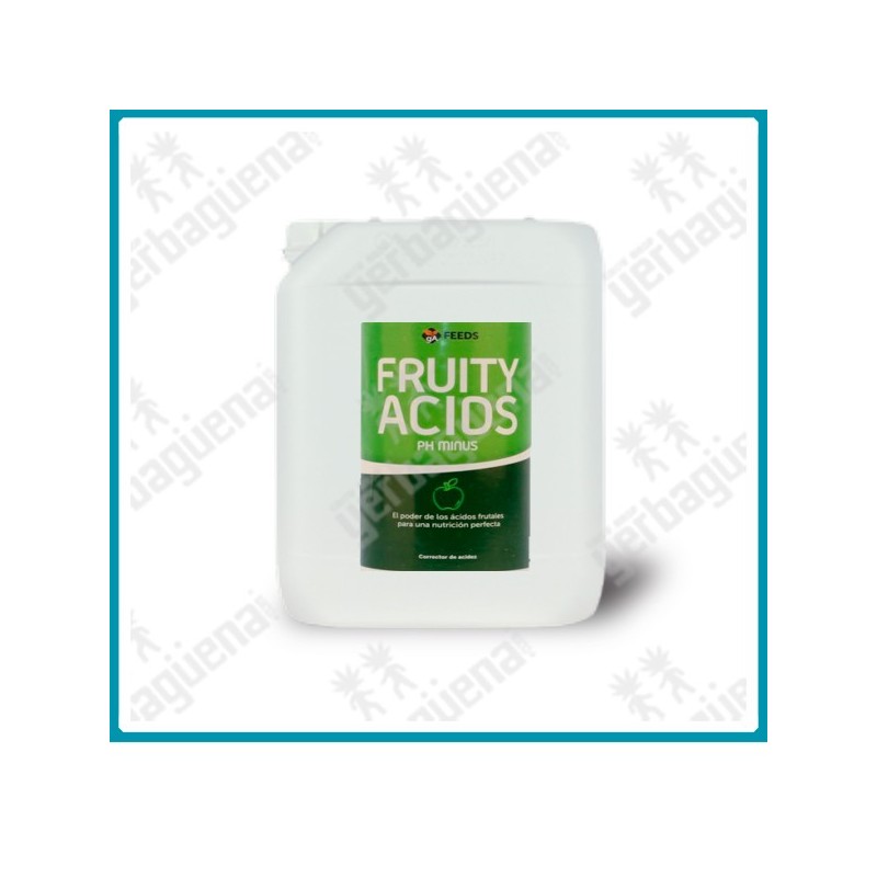 Fruity acids PH minus de Green alchemy - 5 L. -