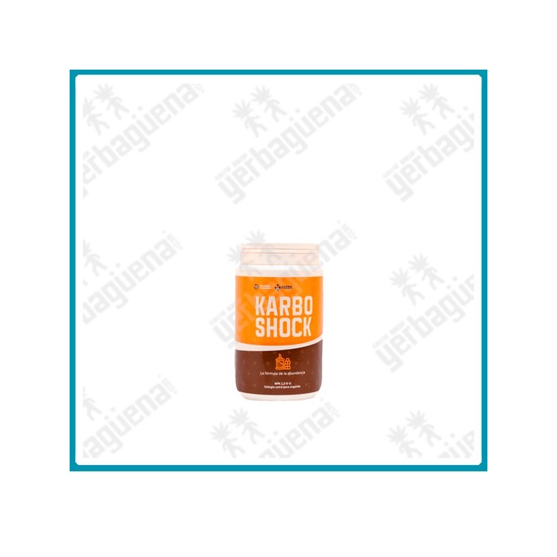 Karbo shock de Green alchemy - 300 gr. -