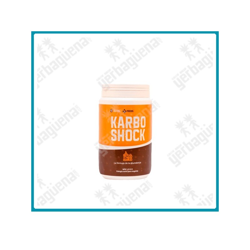 Karbo shock de Green alchemy - 600 gr. -