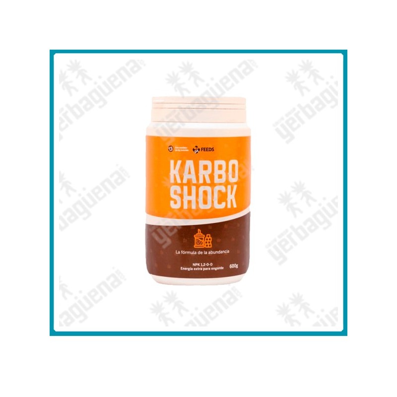 Karbo shock de Green alchemy - 1 kg. -