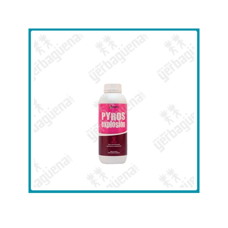 Pyros Explosion de Green alchemy - 500 ml -