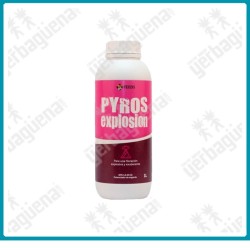 Pyros Explosion de Green alchemy - 1 L. -