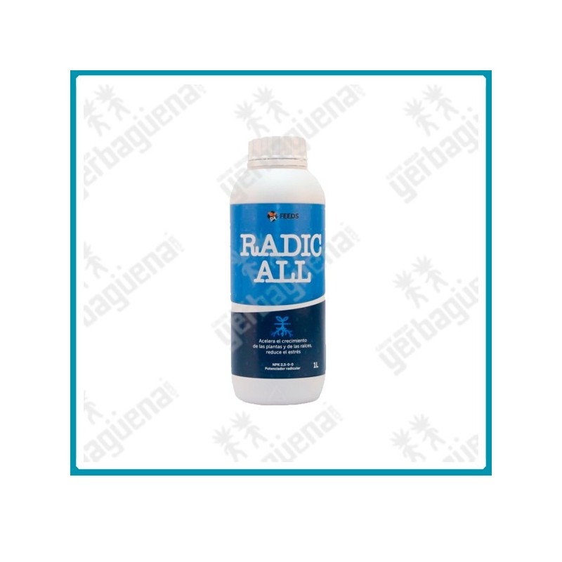 Radic All de Green alchemy - 1 L. -