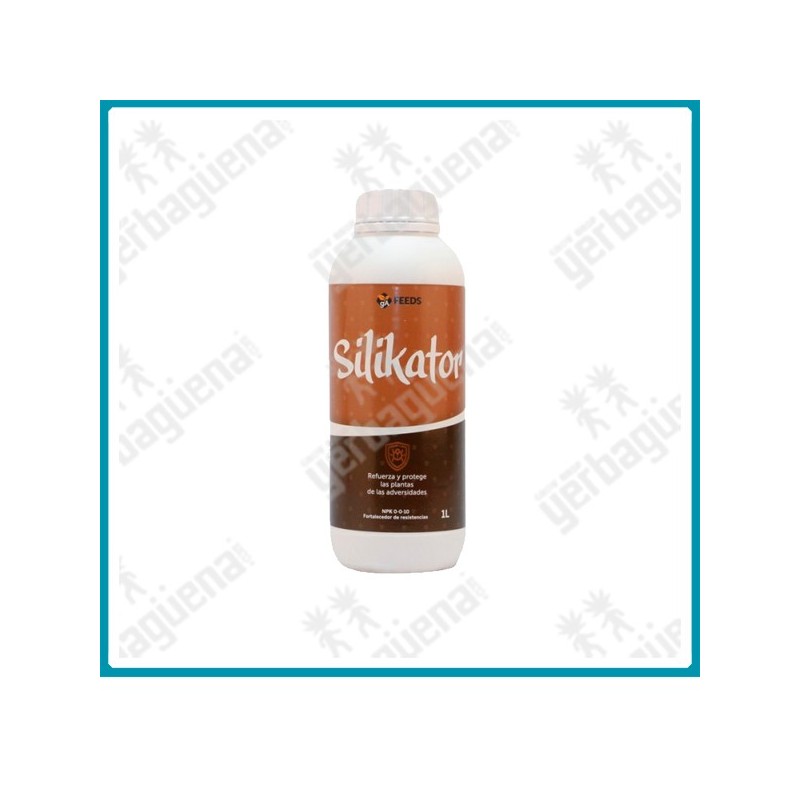 Silikator de Green alchemy - 1 L. -