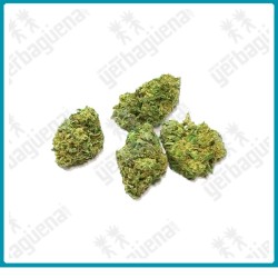 Pop corn Green sour, flores CBD de Xuxes.