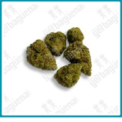 Pop corn Pink Kush, flores CBD de Xuxes.