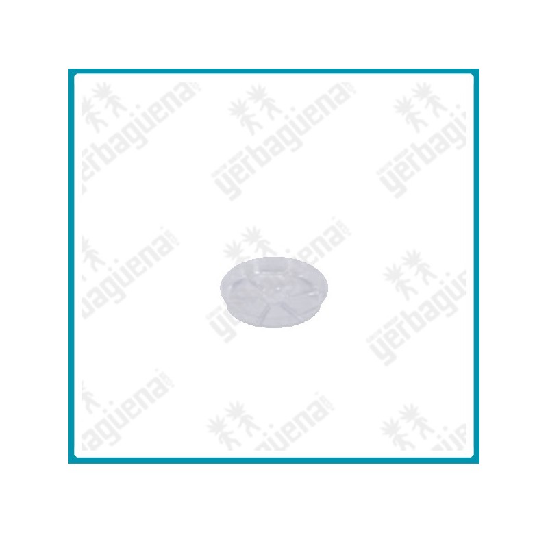 Plato redondo plástico transparente de ø20 cm.