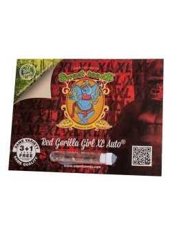 Red gorilla girl XL automatica de Sweet seeds